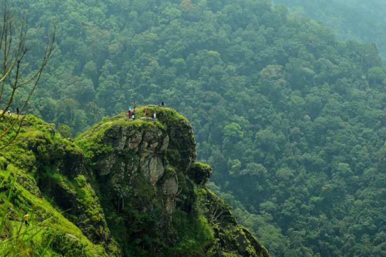 Trekking Places in Kerala