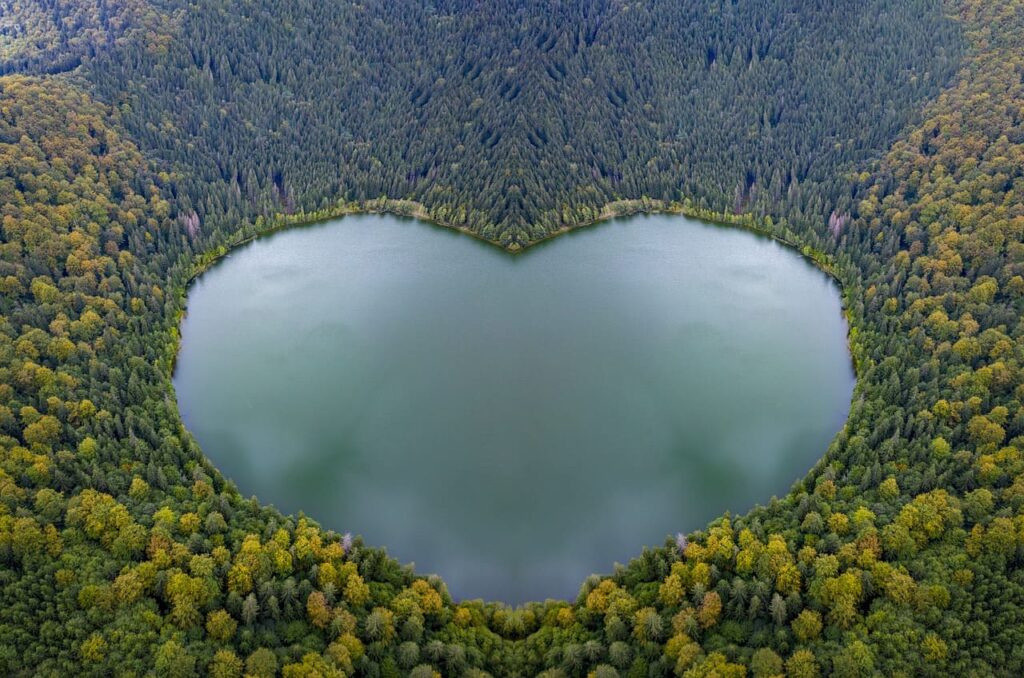 Heart Lake Conservation Park